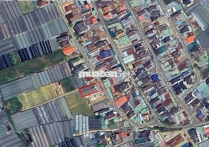 NHÀ PHỐ 3,5ty – HẺM XE HƠI – NGUYỄN HỮU CẦU, P.12, ĐÀ LẠT