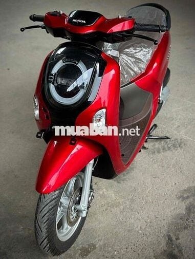 Scoopy 110cc 2025 Xe Mới 100%