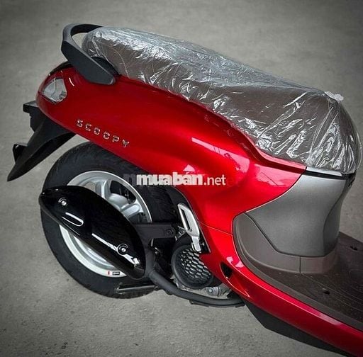 Scoopy 110cc 2025 Xe Mới 100%