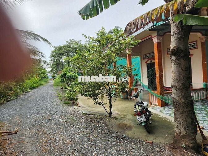 Bán đất nông nghiệp ven sông Vàm Cỏ