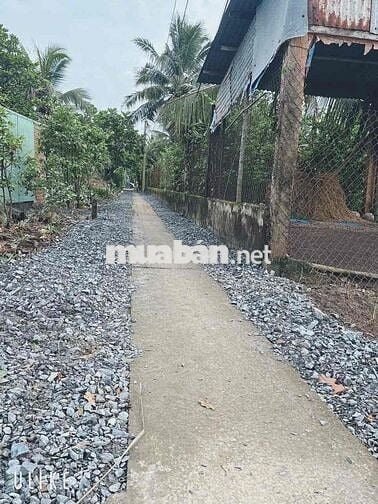 thổ cư giáp bến lức dt: 140m2 , giá : 429tr , tân trụ - long an