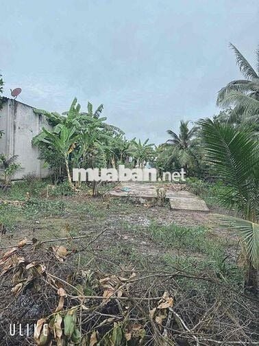 thổ cư giáp bến lức dt: 140m2 , giá : 429tr , tân trụ - long an