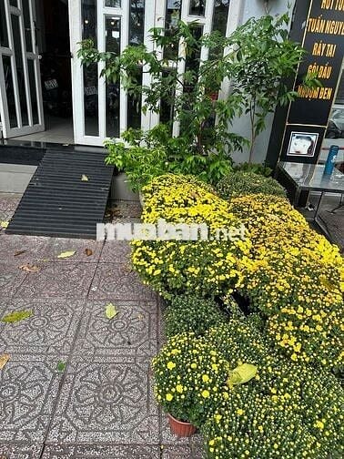 Mặt tiền 168 Trường Sa, Q Bình Thạnh ( gần Cầu Bông )