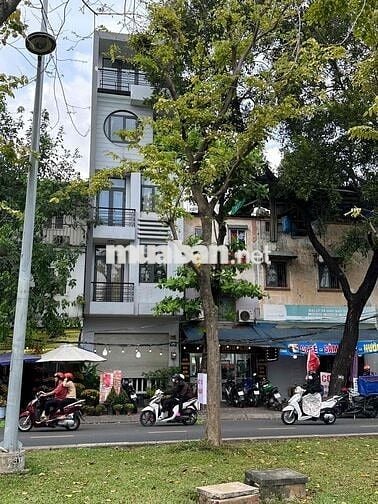 Mặt tiền 168 Trường Sa, Q Bình Thạnh ( gần Cầu Bông )