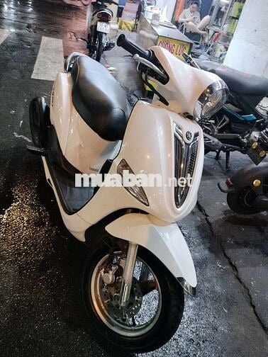 Xe Nozza 2012