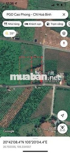 Chính chủ gửi bán mảnh đất ở Cao Phong, Hoà Bình
