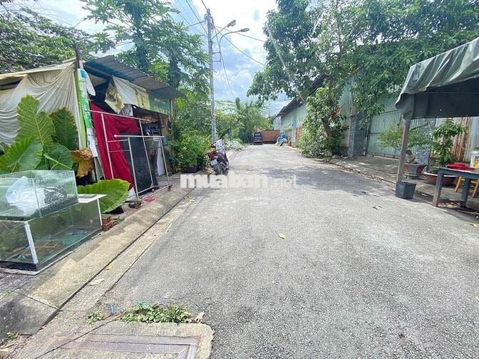 bán gấp lô đất ngay đường Lý Tế Xuyên, Linh Đông. DT 100m2, giá đầu tư