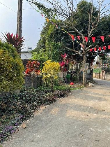 SIÊU PHẨM LÔ GÓC 3 MẶT THOÁNG – LÂM SƠN, LƯƠNG SƠN, HÒA BÌNH