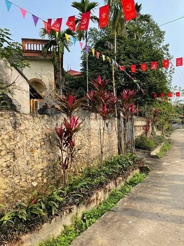 SIÊU PHẨM LÔ GÓC 3 MẶT THOÁNG – LÂM SƠN, LƯƠNG SƠN, HÒA BÌNH