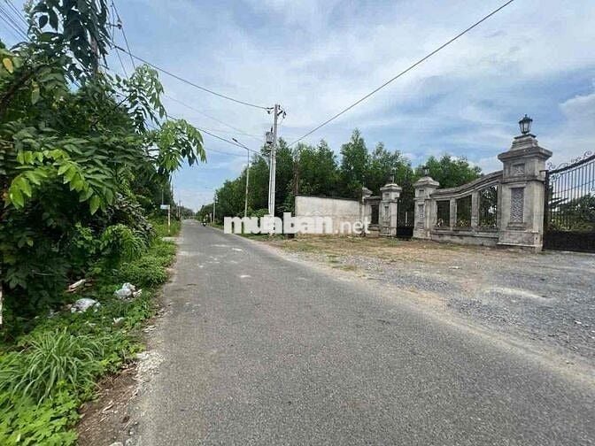 Thơm - đất Mặt Tiền HL15 - Vĩnh Cửu giá đầu tư