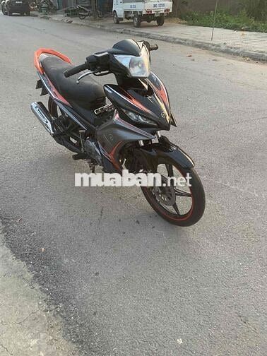 ex 2015 zin chất