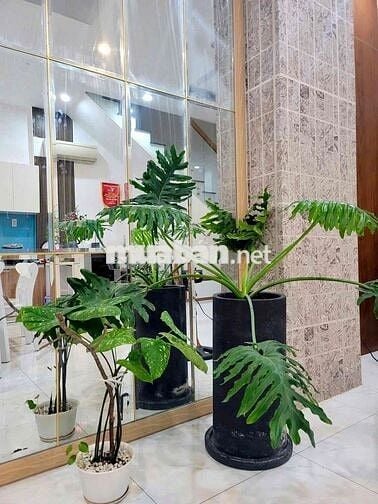 Cho thuê nhà phường Hiệp Thành