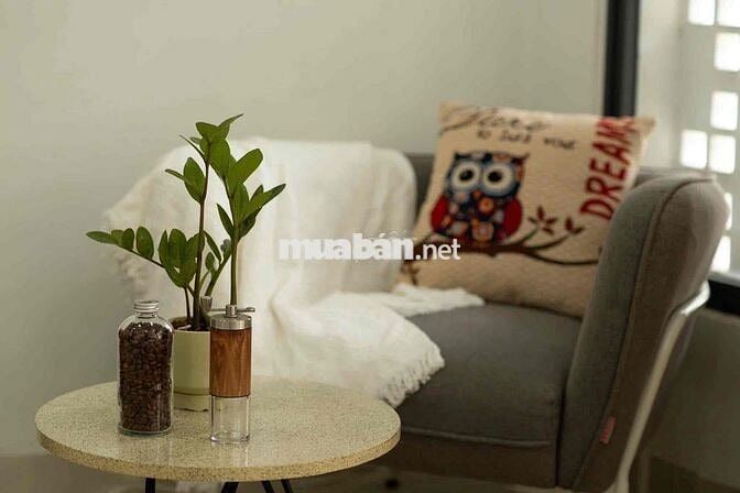 Phòng Trọ Cửa Sổ Thang Máy Bình Thạnh Gần Cầu Bông Trường Sa Quận 1