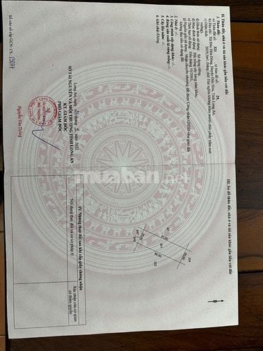 Bán đất 2MT, MT Đường Tỉnh Lộ 825, xã Đức Hòa Đông, Đức Hòa, Long An 