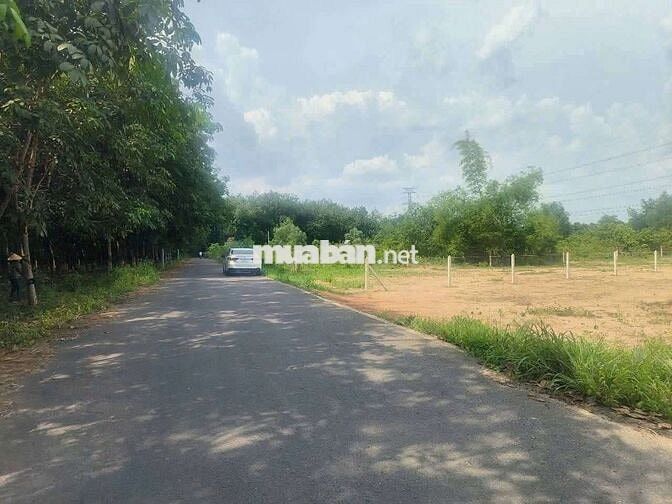 Bán đất lớn 1.314m² Phú An – Mặt tiền ĐX049, giá chỉ 3,19 Tỷ