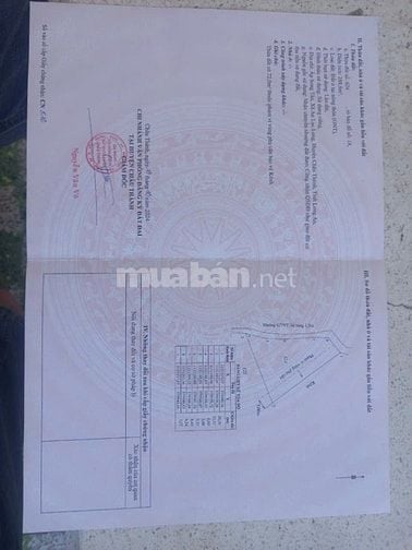 CẦN BÁN ĐẤT RẺ NHẤT AN LỤC LONG - LONG AN