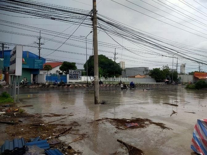 Bán đất 2MT, MT Đường Tỉnh Lộ 825, xã Đức Hòa Đông, Đức Hòa, Long An 