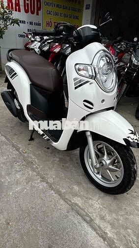 Scoopy 110 trắng 2020 43870 ( hỗ trợ góp )