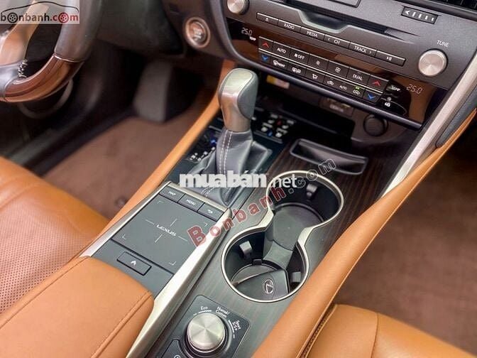 Lexus RX300 Sản Xuất: 2021