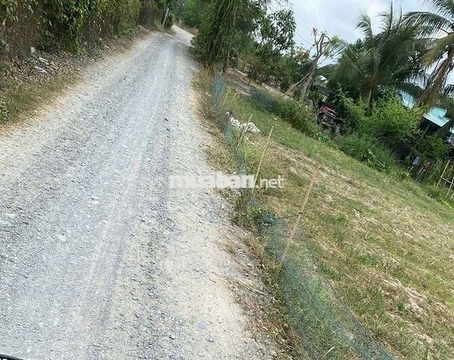 Cần bán đất Bàu Công, Hậu Nghĩa, Tây Ninh gần Vin 930ha