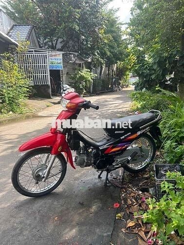 way Nhật giấy đúng 110 thái biển 33