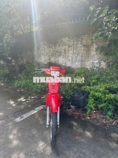 way Nhật giấy đúng 110 thái biển 33