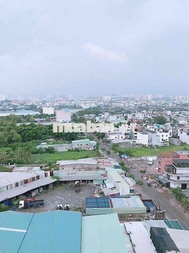 EM CHÍNH CHỦ CẦN BÁN  CĂN HỘ LÊ THÀNH TÂN TAO VÀ TÌM CHỦ MỚI