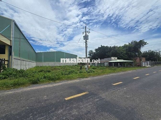 Đất đẹp phân lô, xây xưởng, giá ngộp, mặt tiền nhựa chà bá. 35x50