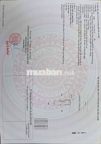 Đất mặt tiền kinh doanh Bùi Thị Xuân,Tân Bình,TP Dĩ An