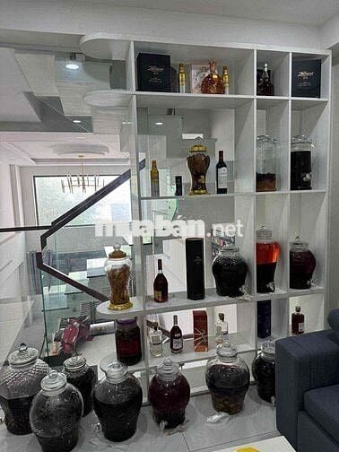 Nhà Tô Ngọc Vân Khu Vip Mới Đẹp 4PN 5WC 3 Lầu Giá 16 Triệu