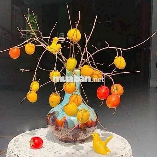 CHO THUÊ NHÀ PHƯỜNG TÂN QUÝ : 4 x 20 M ĐÚC LỬNG ĐẸP : 2PN