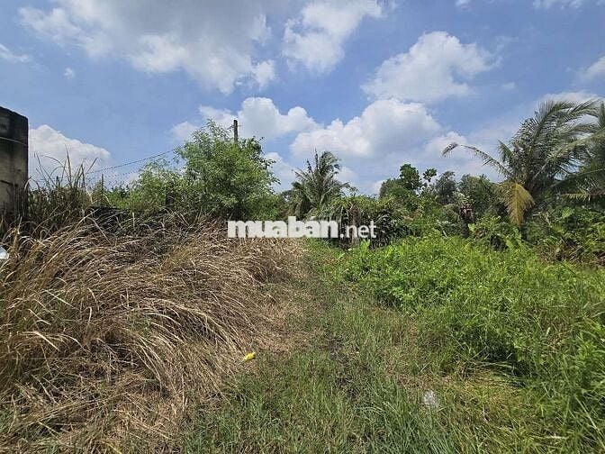 1217m2 đất gần sông sài gòn bán 4.8 tỷ