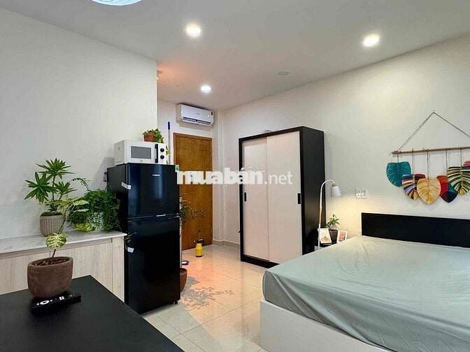 KHAI TRƯƠNG CHDV STUDIO BALCONY NGAY KHU ỐC ĐÀO - BỆNH VIỆN TỪ DŨ Q1