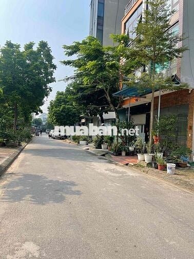 BÁN 50M2 ĐẤT DỊCH VỤ LA DƯƠNG, DƯƠNG NỘI, HÀ ĐÔNG SÁT AEON,