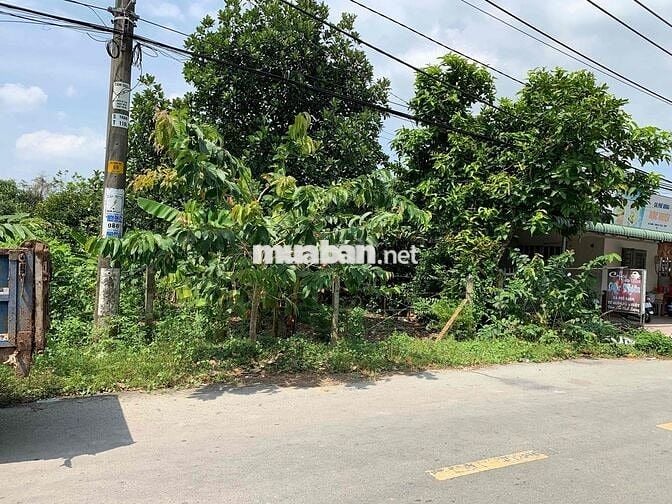Bán đất MT đường trung An (645m2-120TC)