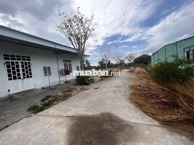 Chính chủ Nợ Ngân Hàng Bán Gấp 150m2 Đất Thổ Cư Gần Chợ Châu Pha Có TL