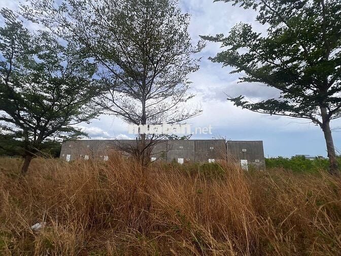 Chính chủ Nợ Ngân Hàng Bán Gấp 150m2 Đất Thổ Cư Gần Chợ Châu Pha Có TL