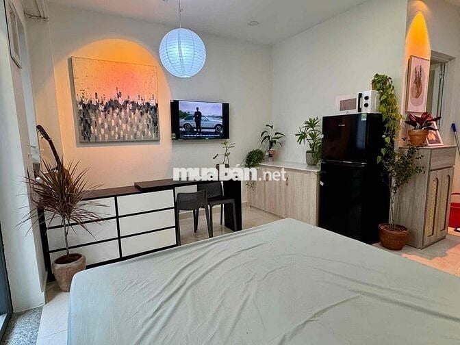 KHAI TRƯƠNG CHDV STUDIO BALCONY NGAY KHU ỐC ĐÀO - BỆNH VIỆN TỪ DŨ Q1
