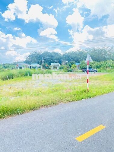 BÁN ĐẤT NỀN ĐƯỜNG NHỰA CẠNH CHỢ
