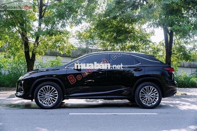 Lexus RX300 2021