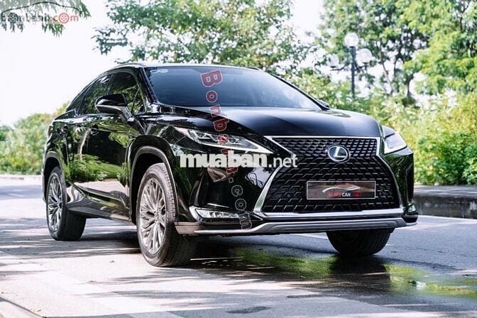 Lexus RX300 2021