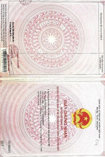 Bán đất MT Quốc lộ 62 xã Thủy Đông,Thạch Hóa,Long An,DT:4.8ha,26,4 tỳ