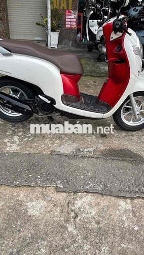 scoopy 2020 biển tp