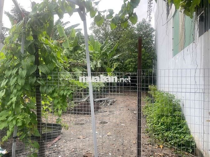 Đất thổ cư hẻm Lx Trung Chánh Tân Xuân, 4.3m x 30m, hậu 5m, 3.3 tỷ
