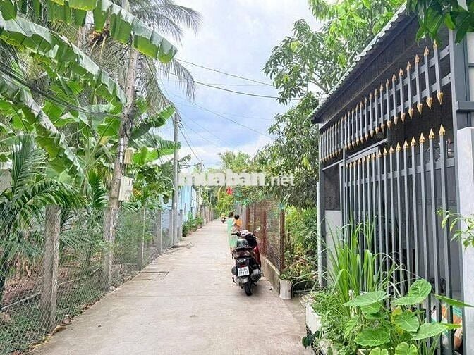 Bán gấp căn nhà cấp 4 ở Đ. Huỳnh Thị Mài , Tân Hiệp 80m2 SHR giá 810tr