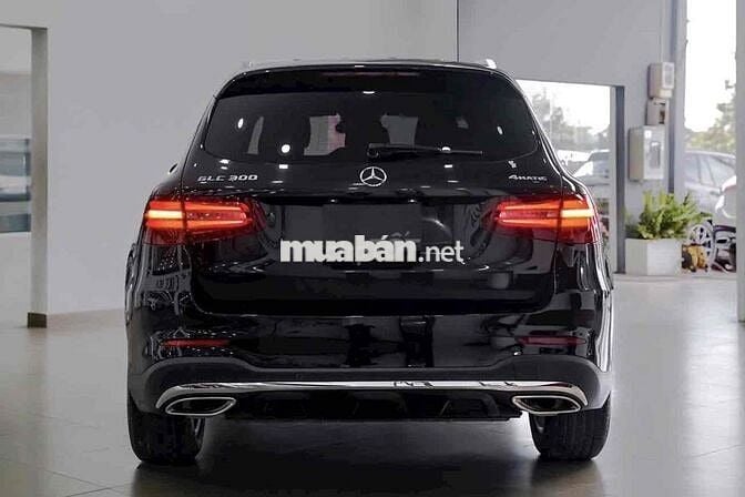 Mercedes GLC300 4MATIC 2019 Bao Check Test