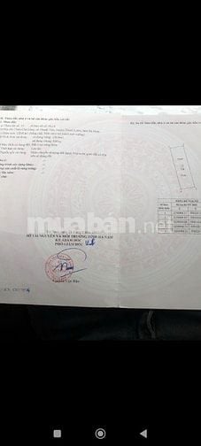 Chính chủ bán phân lô chè làng thanh tâm thanh liêm hà nam cũ