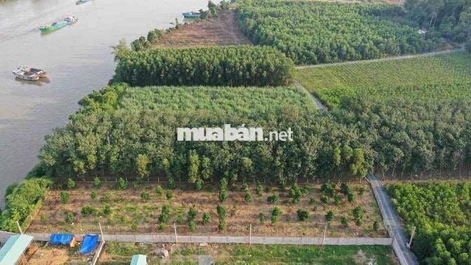 BÁN ĐẤT XÃ BÌNH LỢI , VĨNH CỬU ,ĐỒNG NAI