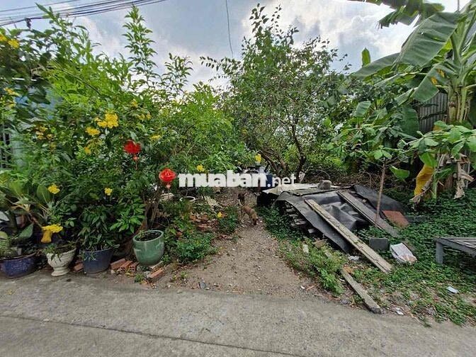 ĐẤT 163M2 NỞ HẬU - Trung Tâm Trường Thọ - 7,5 Tỷ