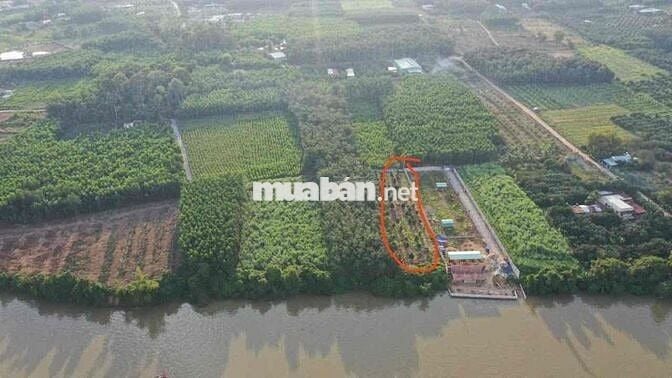 BÁN ĐẤT XÃ BÌNH LỢI , VĨNH CỬU ,ĐỒNG NAI